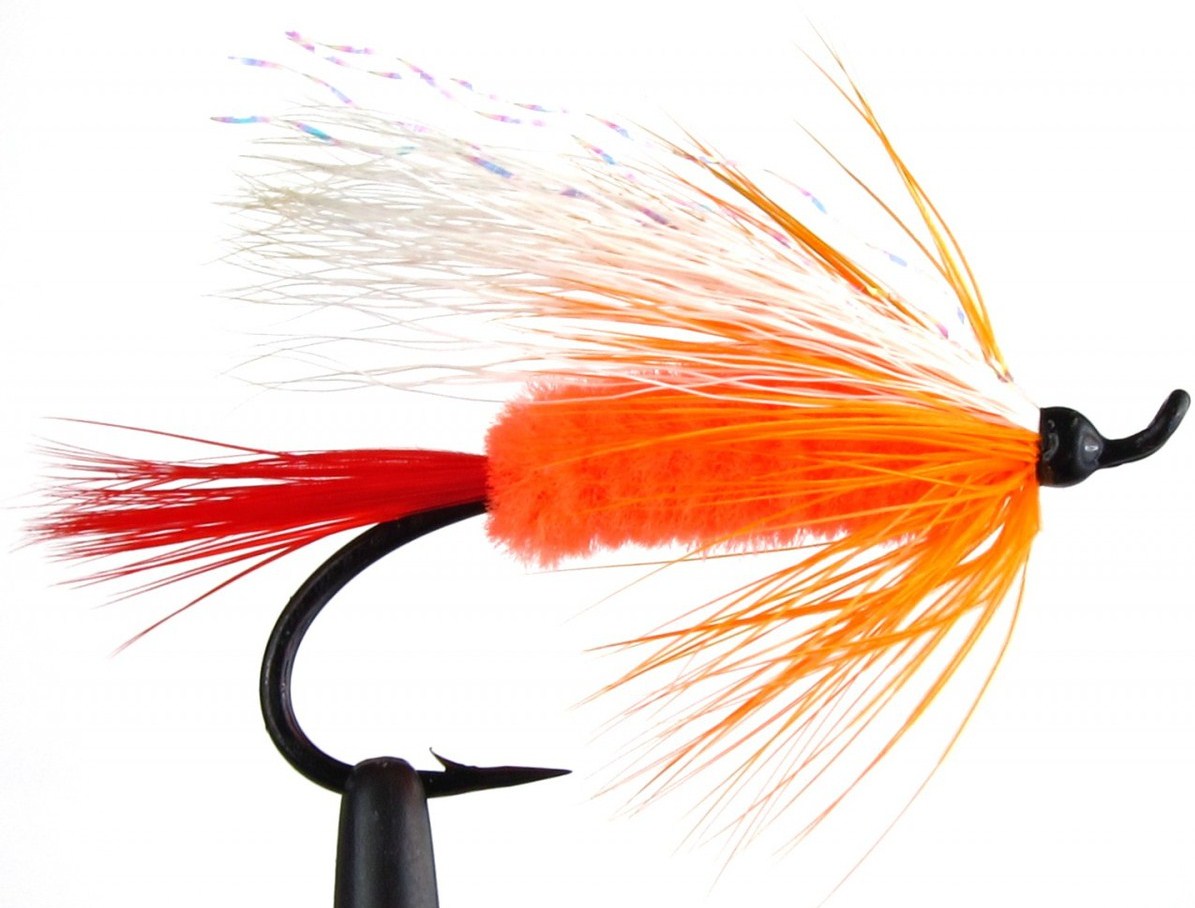 Alaskan Polar Shrimp