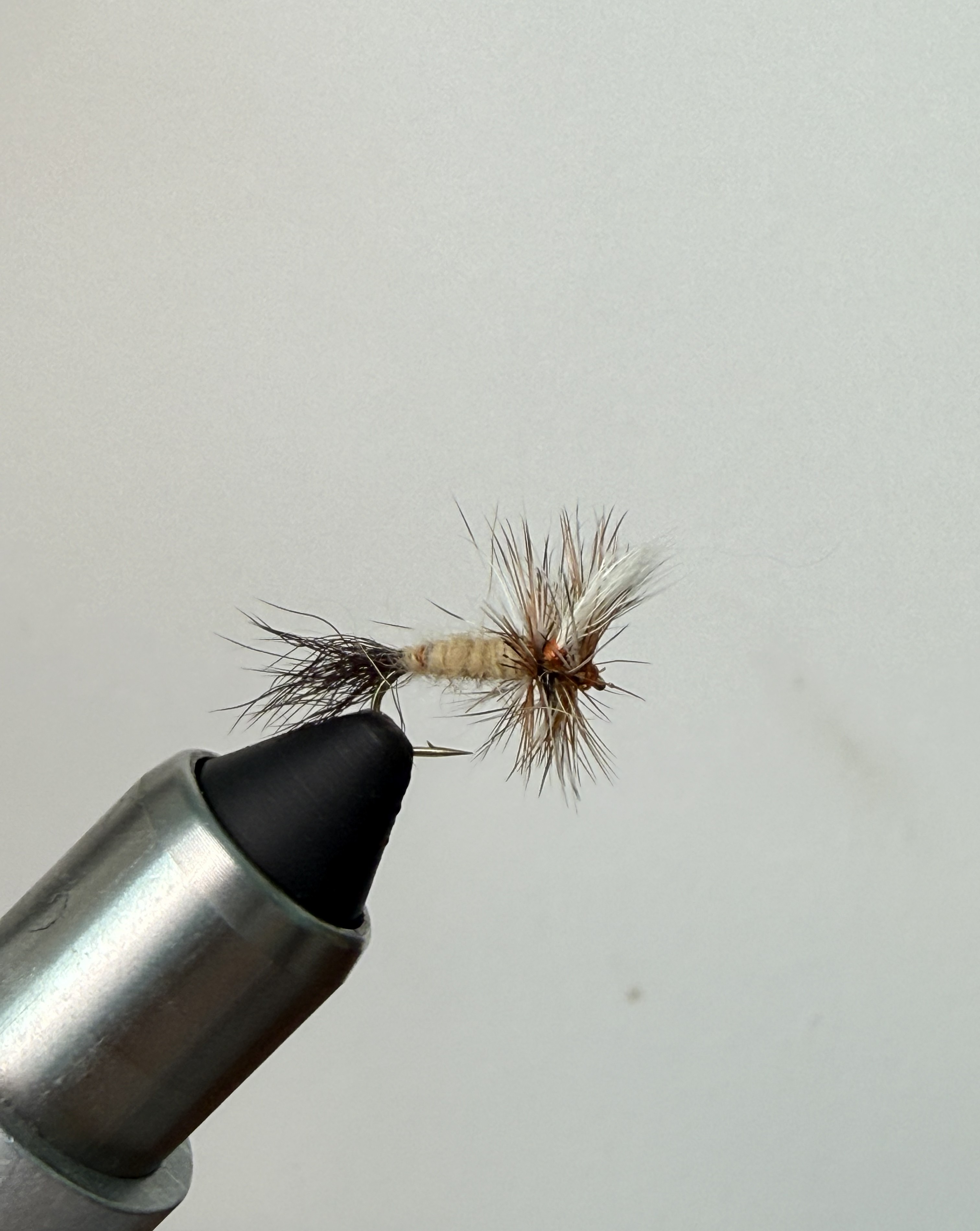 Ausable Wulff