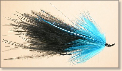 Blue Moon fly tying photo 2