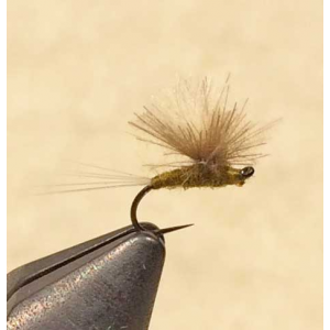 Blue Wing Olive