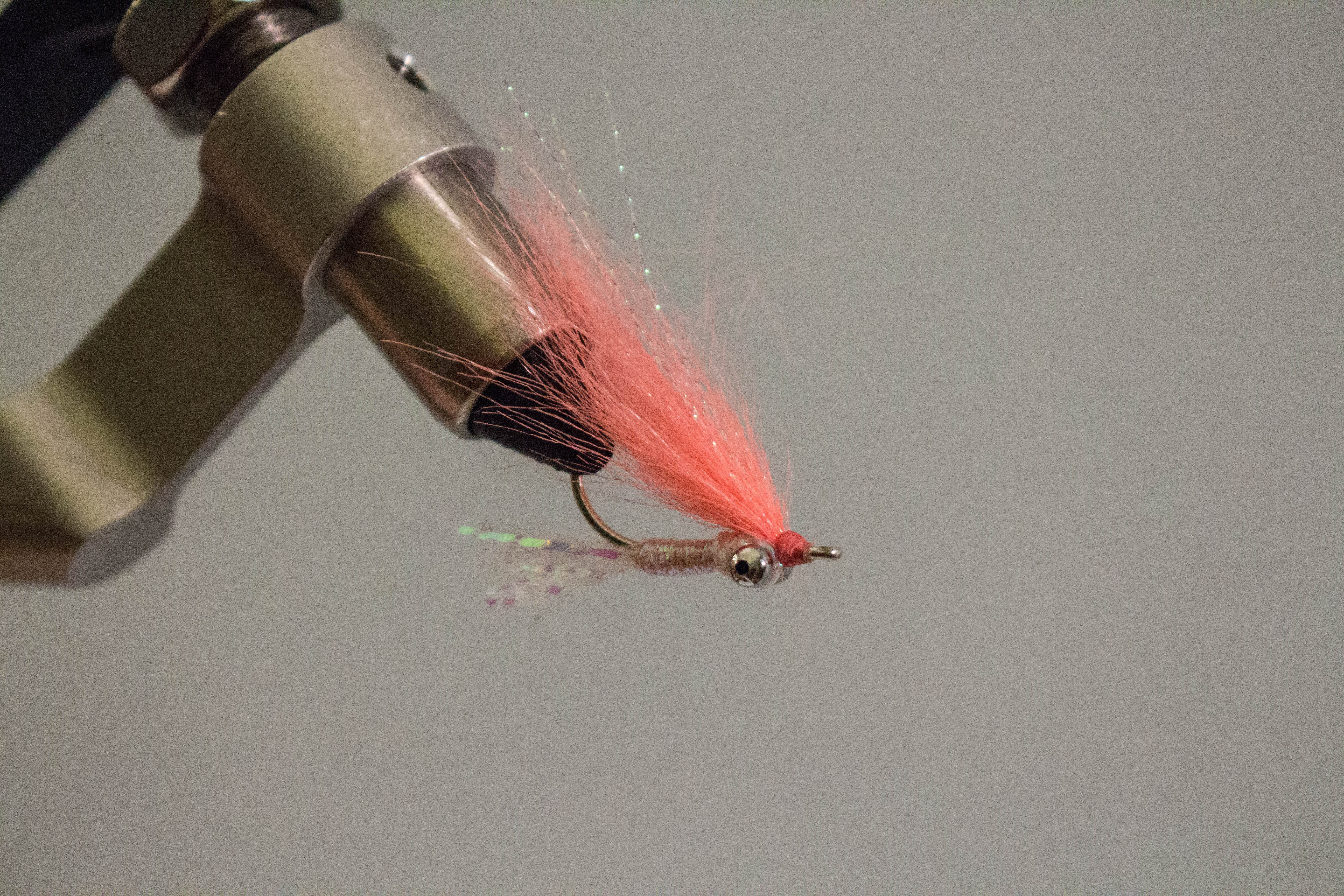 Gotcha fly tying photo 4