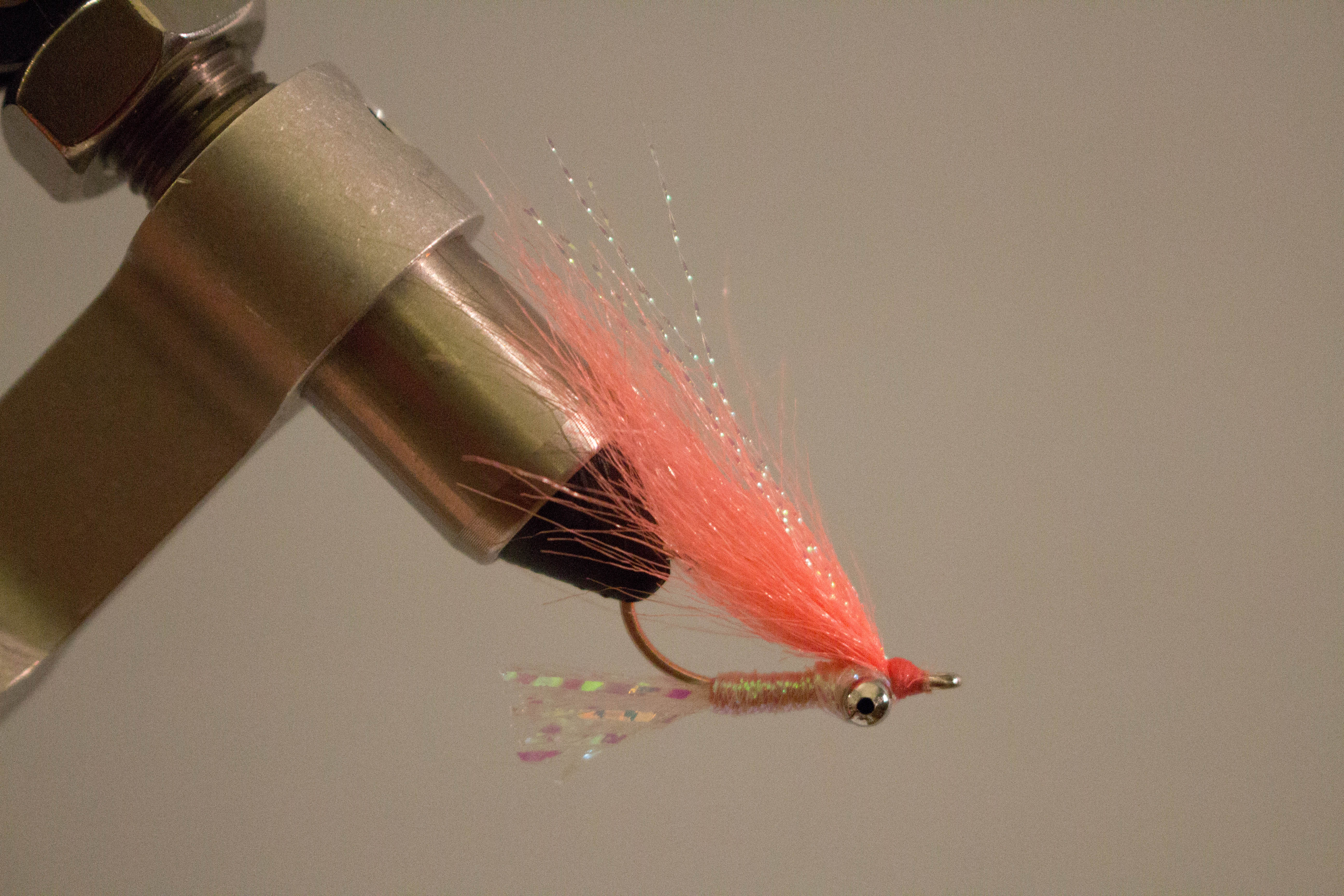 Gotcha fly tying photo 5