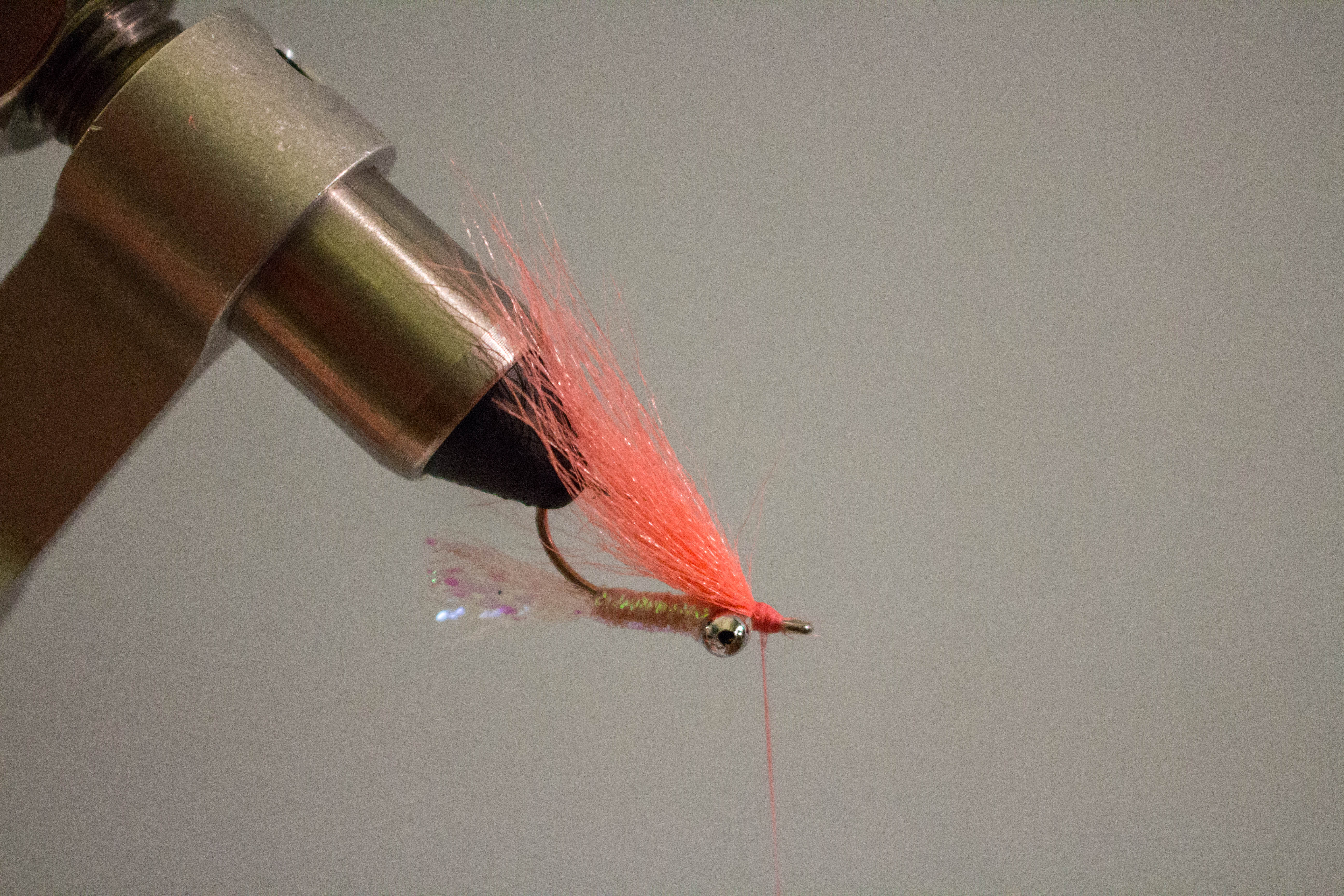 Gotcha - Step 7: Flip your fly over in the vise and tie in the craft fur jus…