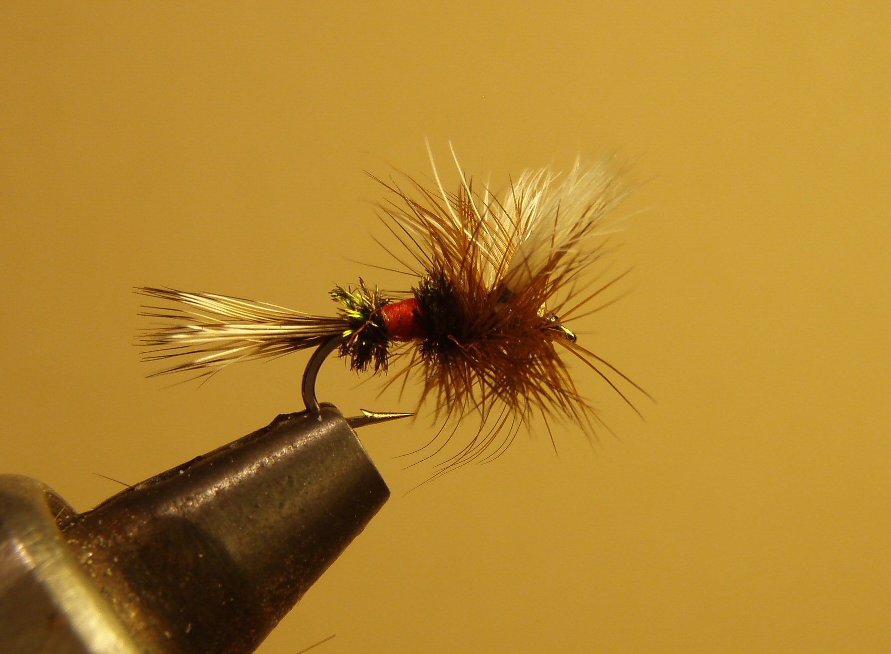 Royal Coachman