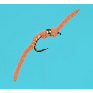 San Juan Worm
