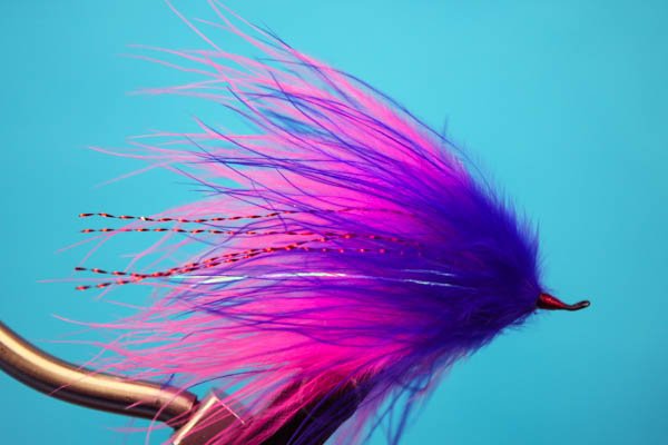 Showgirl