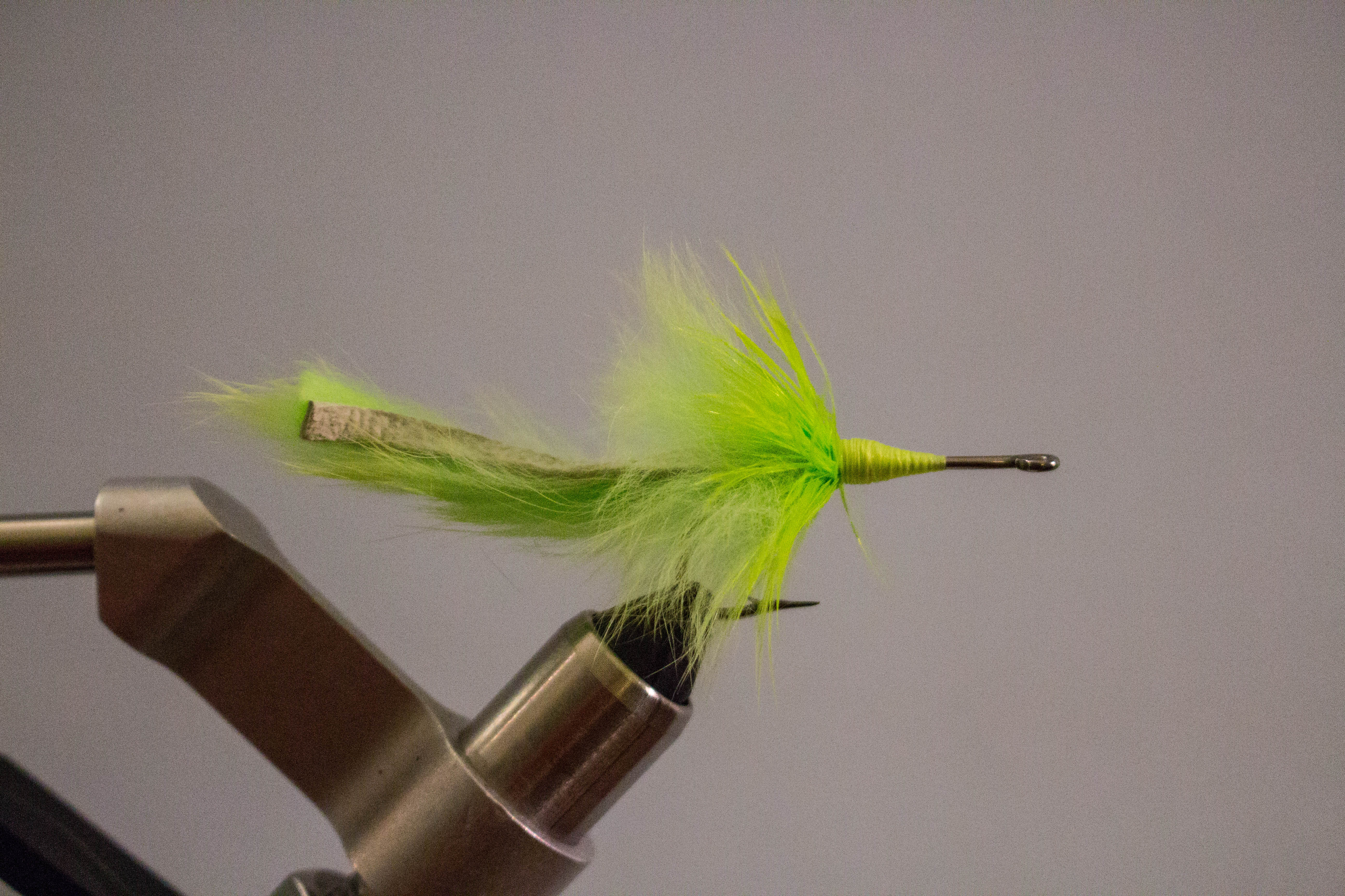 Tarpon Bunny - Step 7: Tie in the schlappen right in front of the rabbit and palme…