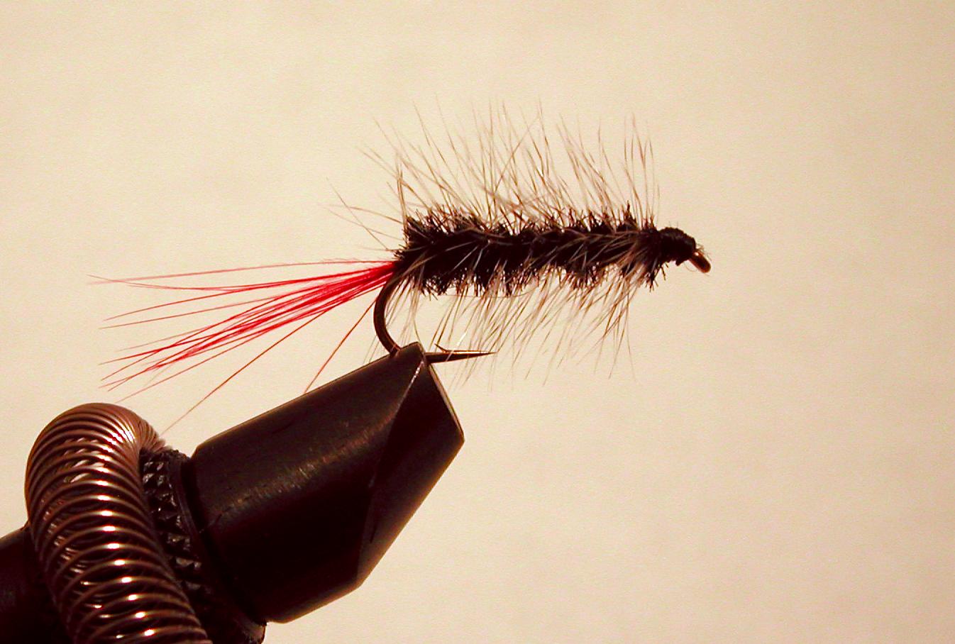 Woolly Worm fly tying photo 2