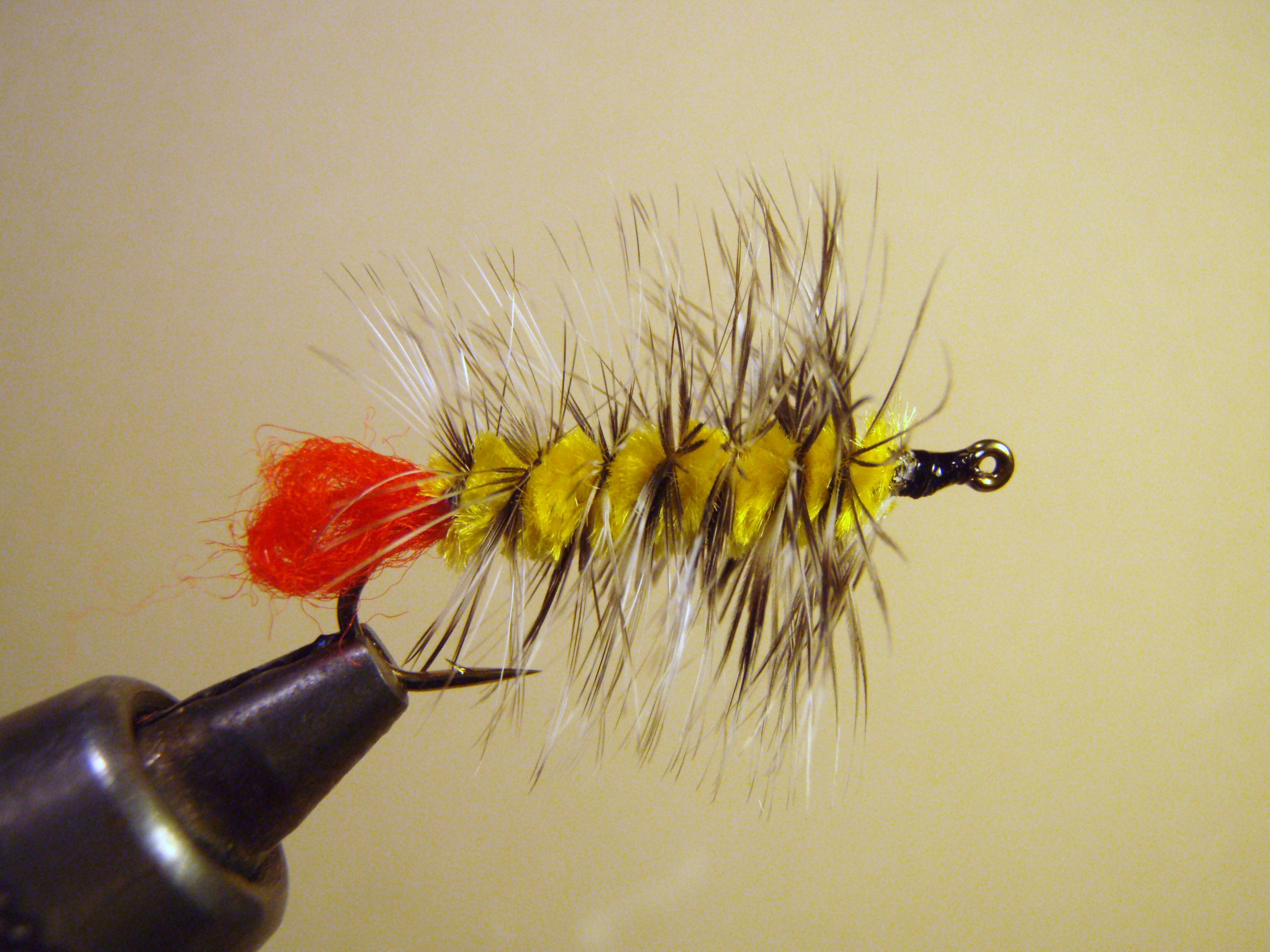 Woolly Worm fly tying photo 3