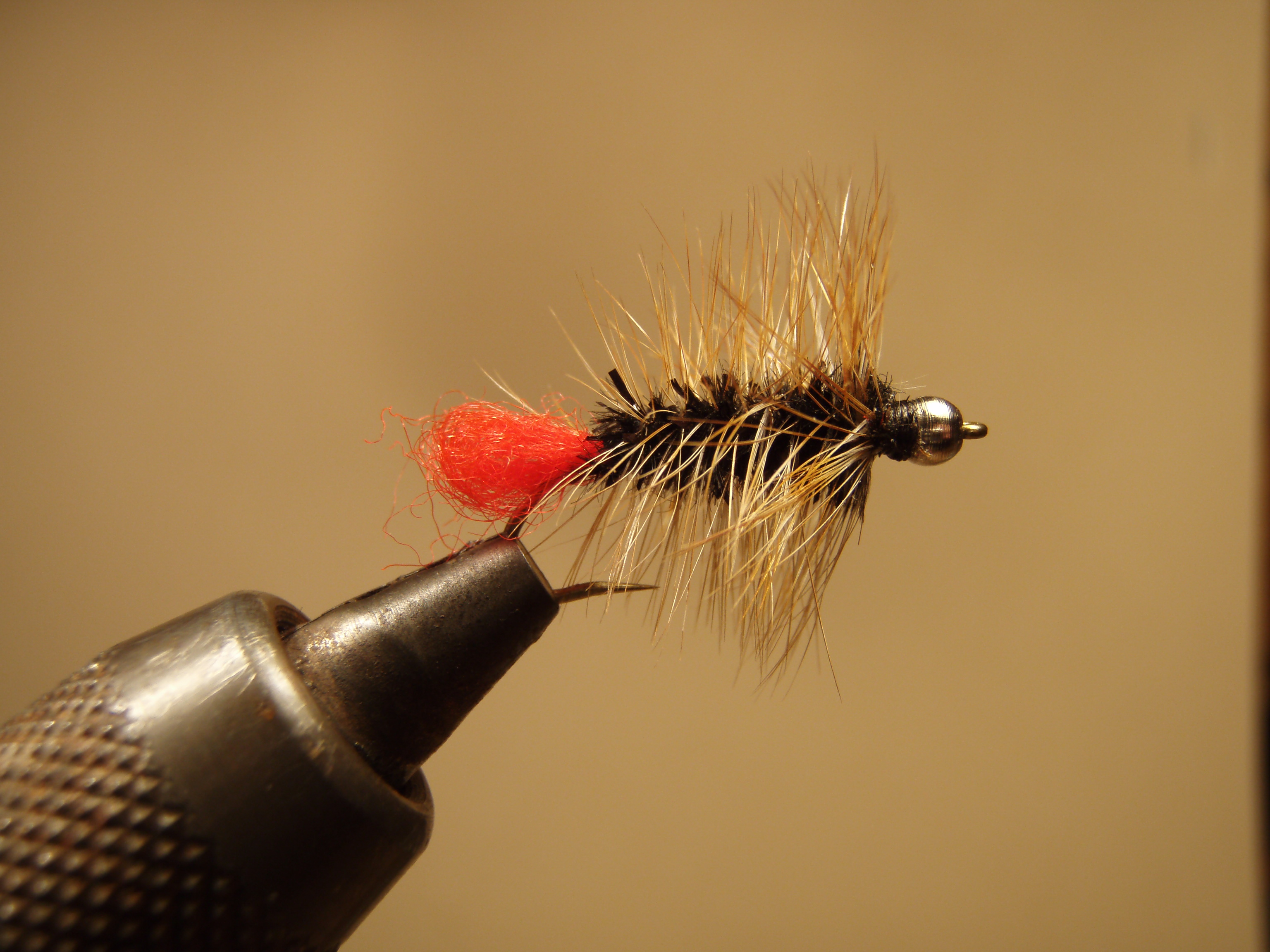 Woolly Worm