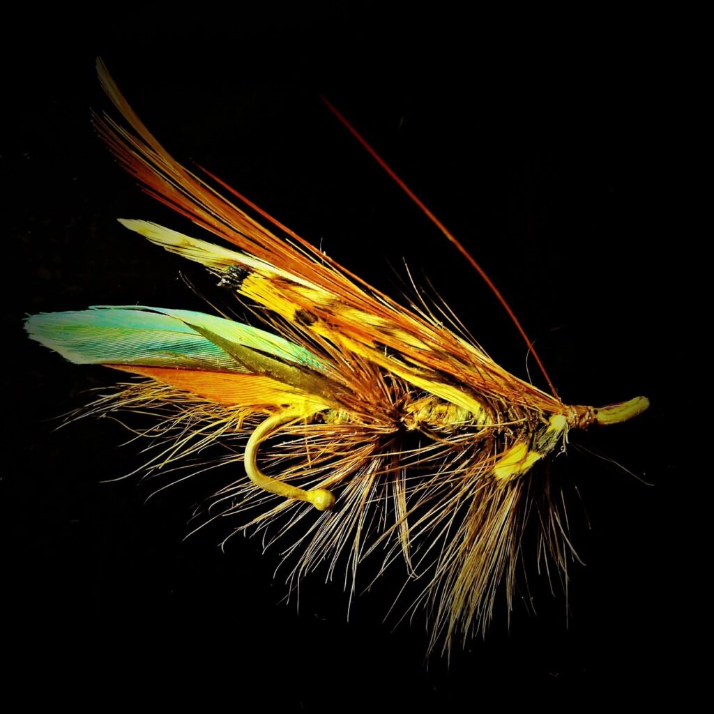 salmon fly, fantasy, brooch, jewelry fly, fly fishing, container art, from feather, insect imitation, beautiful, colorful, fly fishing, fly fishing, fly fishing, fly fishing, fly fishing